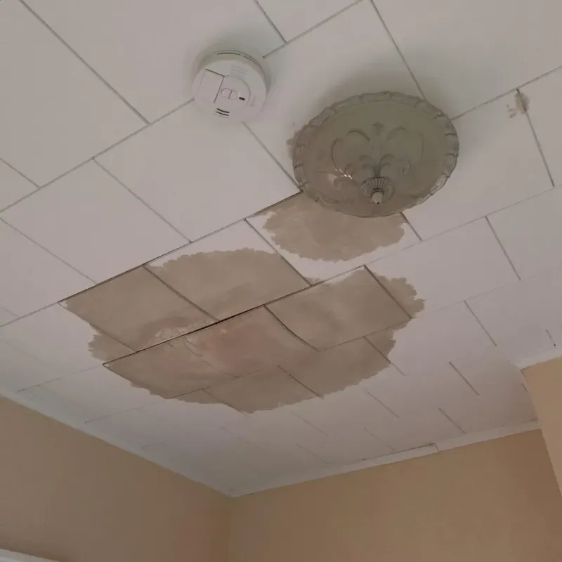 Ceiling Water Damage Repair in Tillson, NY